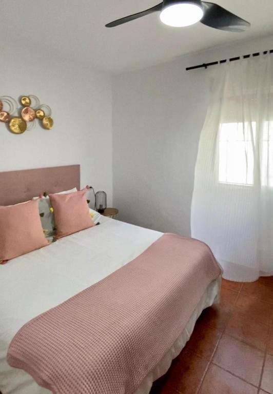 Alojamientos Turisticos Carmencita 博罗尼亚 外观 照片